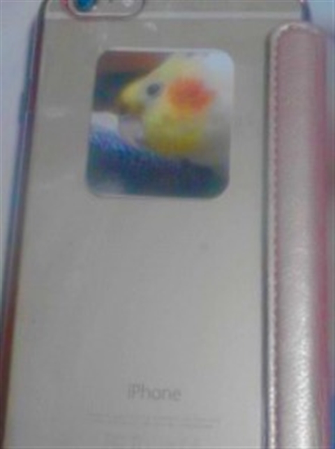 �}�C�u�b�N���C�t�@�V�[���X�^���h